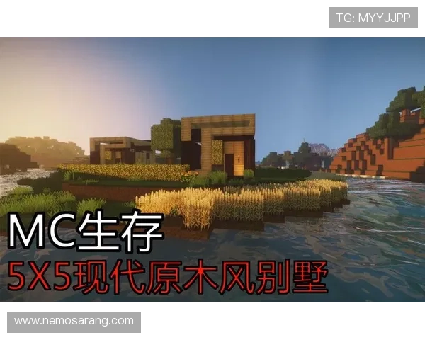 轻松上手的凯发官网：新手玩家的最佳选择